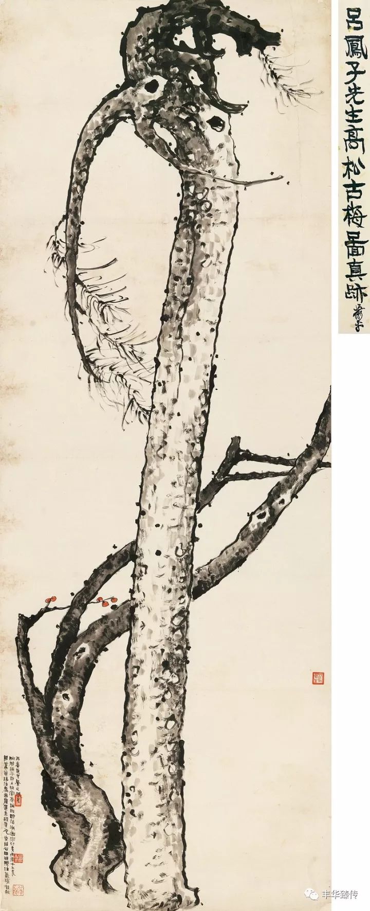 帽哥直播回放完整版最新,帽哥直播最新回放完整版