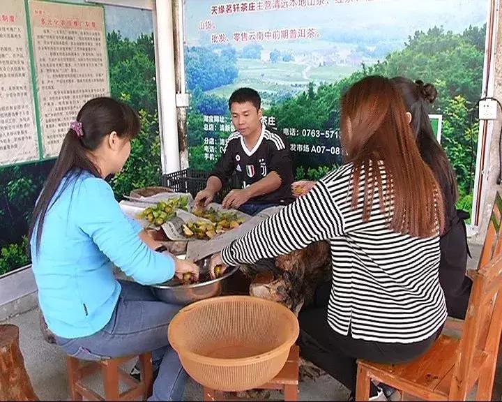 清远龙颈钟家村,龙颈镇钟家村