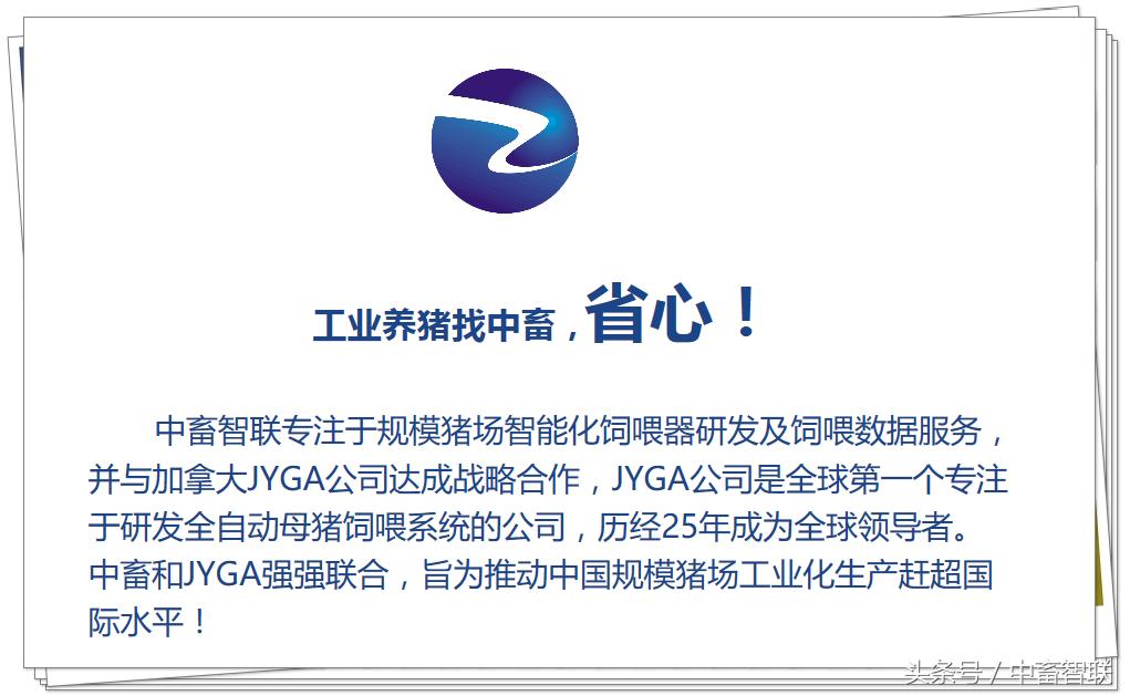 如何通过望、闻、问、切给猪诊病？