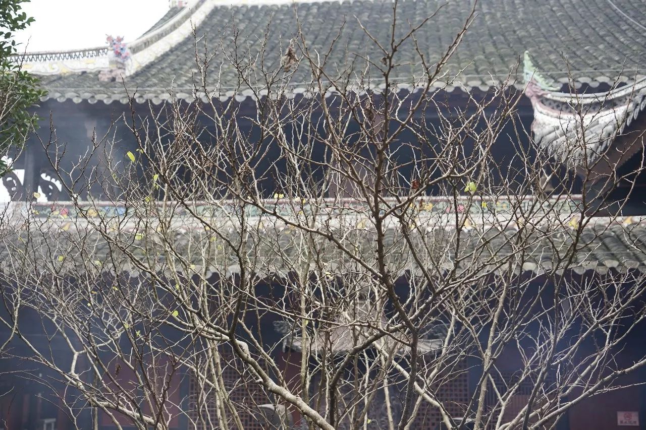 梁平古寺,梁平寺庙很灵