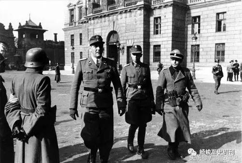 矢车菊凋谢在多瑙河畔：*党**卫军第22“玛丽亚·特蕾莎”骑兵师简史