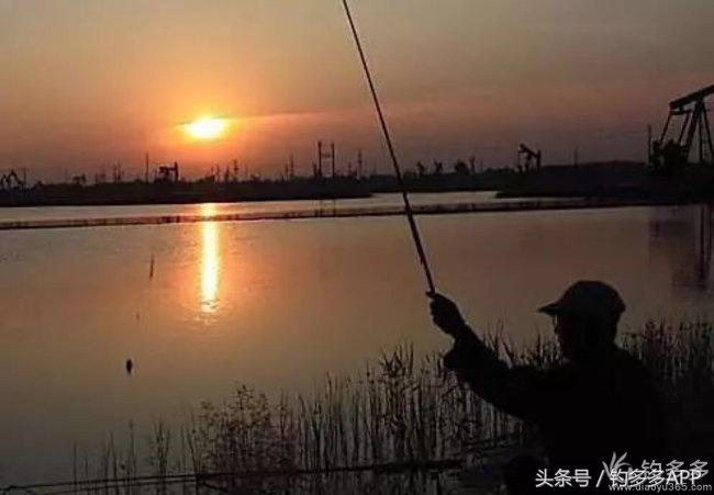 学钓鱼没点狠劲还真不行,鱼竿教学入门零基础野钓