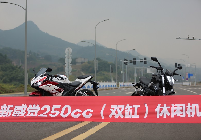 新感觉250双缸二手多少钱,新感觉250双缸多少匹马力