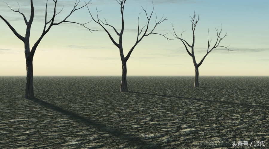 跨境电商死的多吗,一夜损失百万跨境电商还有救吗