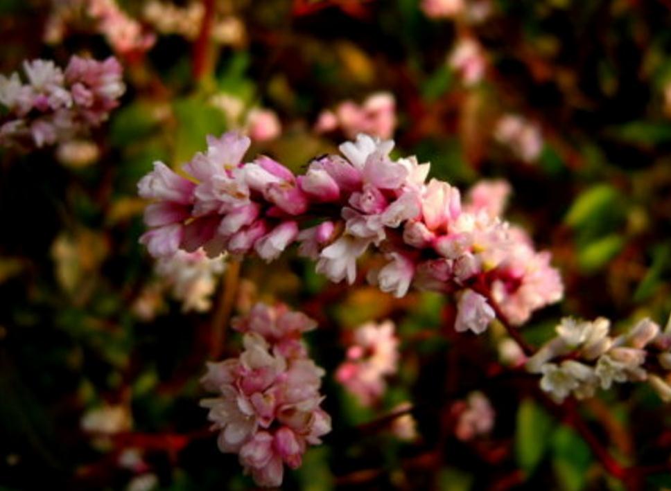 做人不能太窝囊废,做人太失败活得一塌糊涂
