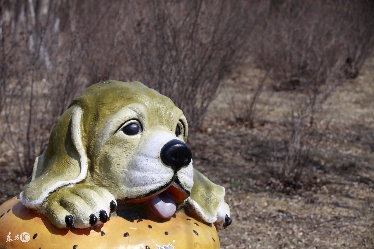 狗狗细小拉稀是什么颜色,狗狗拉稀是不是营养没吸收