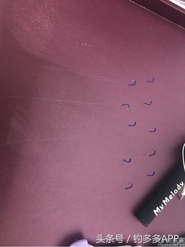 学钓鱼没点狠劲还真不行,鱼竿教学入门零基础野钓