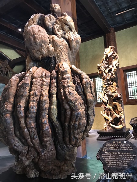 今年开化根宫佛国开化人免门票吗,衢州市开化根宫佛国文化旅游景区