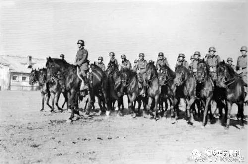 矢车菊凋谢在多瑙河畔：*党**卫军第22“玛丽亚·特蕾莎”骑兵师简史