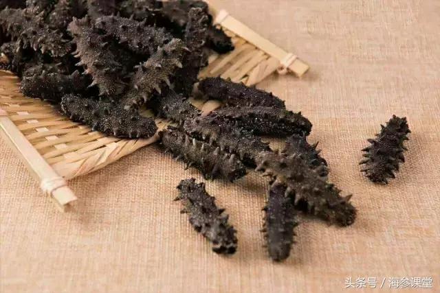 科普知识海参怎么吃最有营养,海参的营养功效与作用有什么