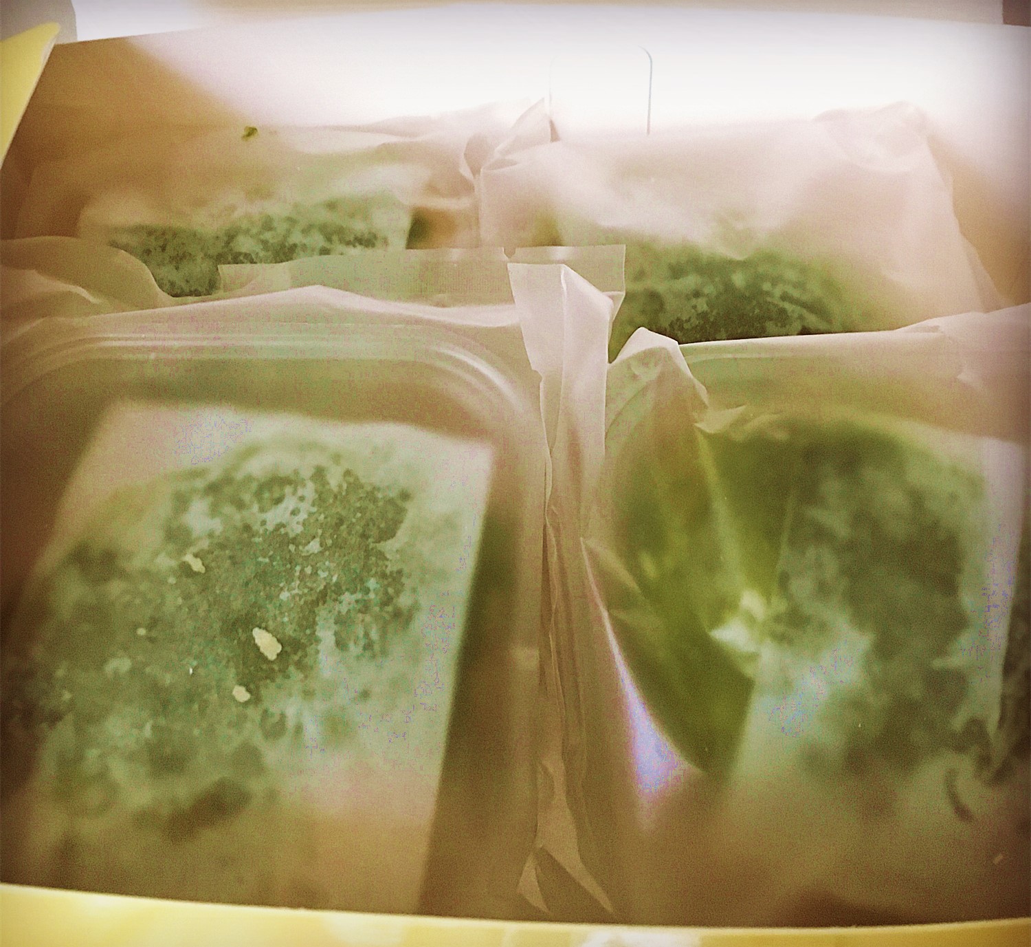 20个蛋黄酥测评,便宜又好吃的蛋黄酥测评