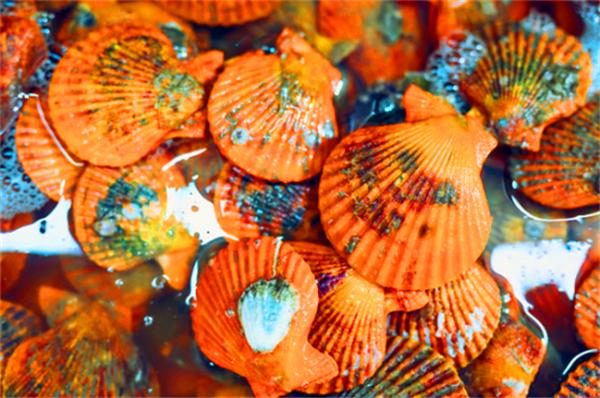 北纬18度温暖的冬季三亚之旅,北纬18度三亚旅游