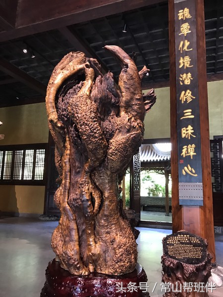 今年开化根宫佛国开化人免门票吗,衢州市开化根宫佛国文化旅游景区