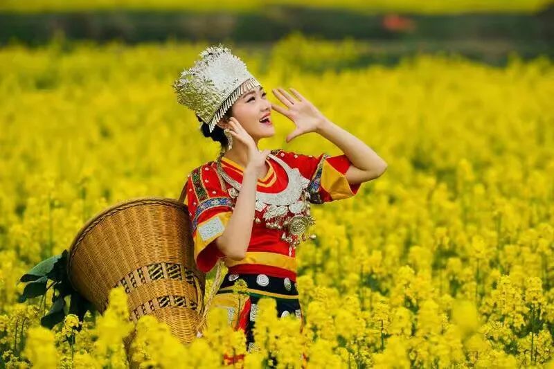 新诗采撷,致高三学子的诗