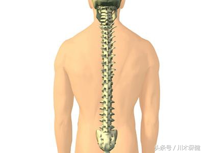 游泳对颈椎病有用吗,游泳对脊柱康复有效果吗