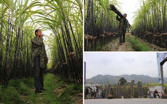 张家口手机台今日新闻,张家口晚间新闻