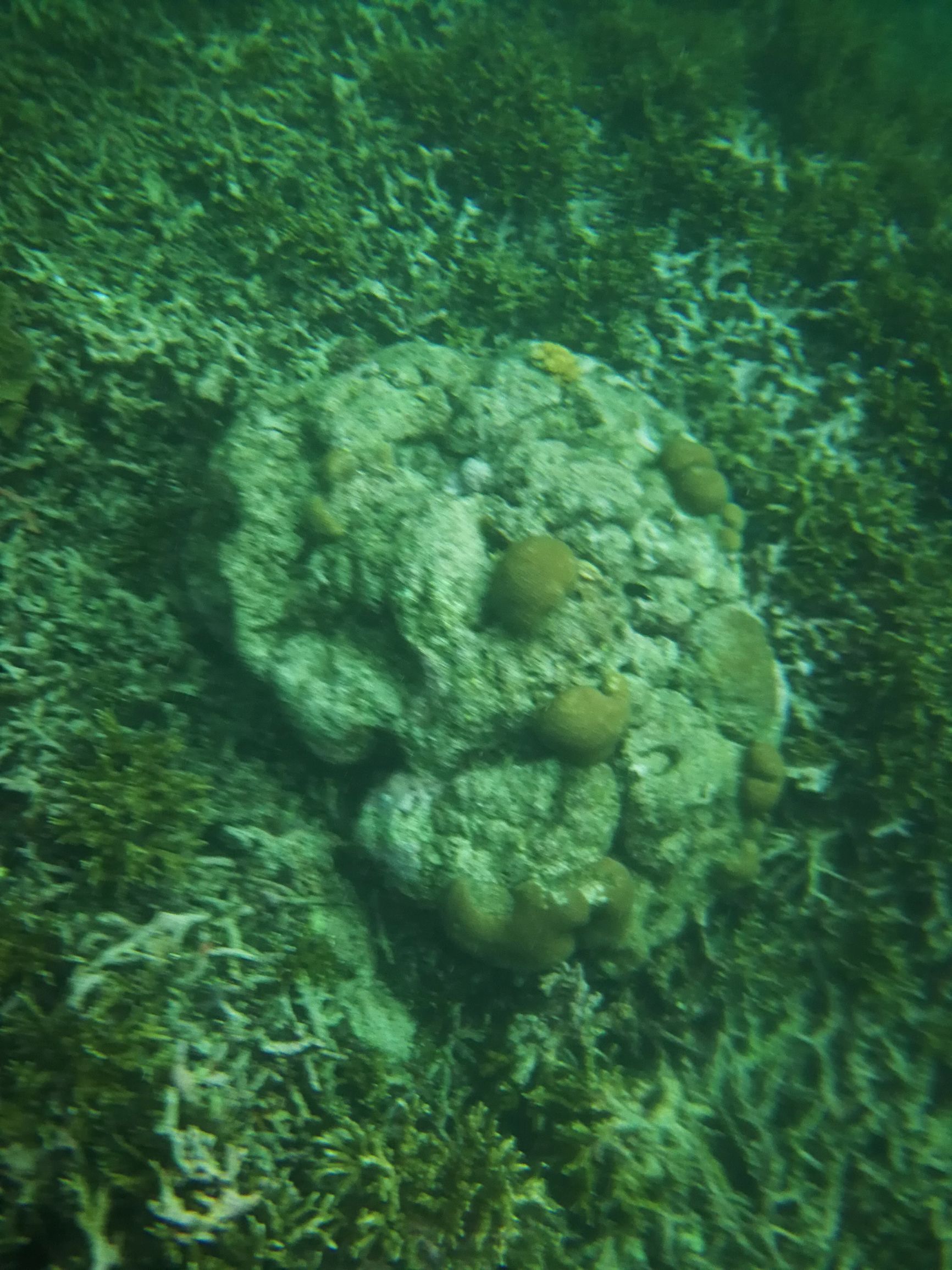 第一次沙巴克攻城,探索马来西亚沙巴美丽之旅