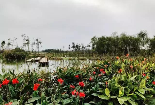 冬天成都两天来回得哪里去玩,成都3-5天短途旅游推荐