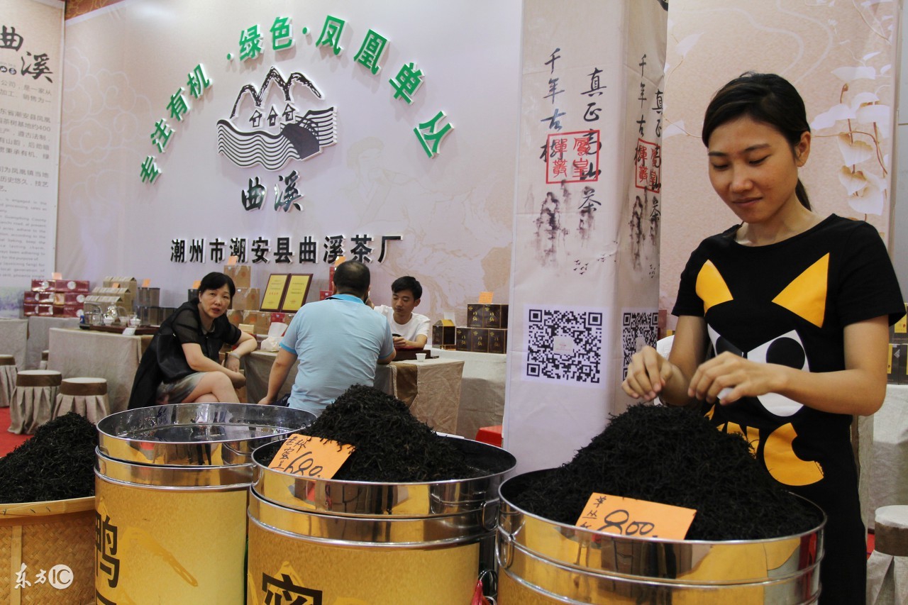 凤凰单枞茶喝出来的健康,凤凰单枞茶的合理饮法