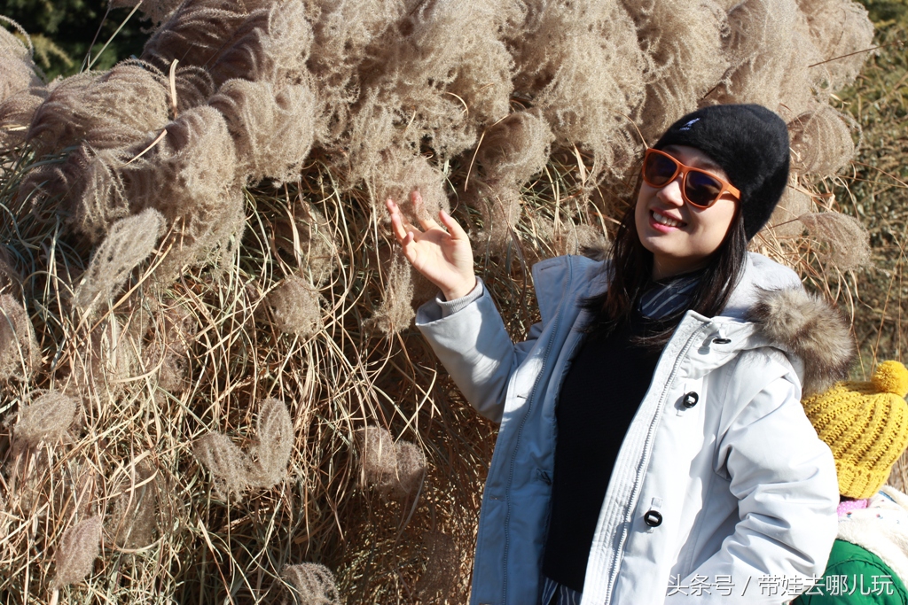 奥森附近小动物乐园,奥森公园世外桃源