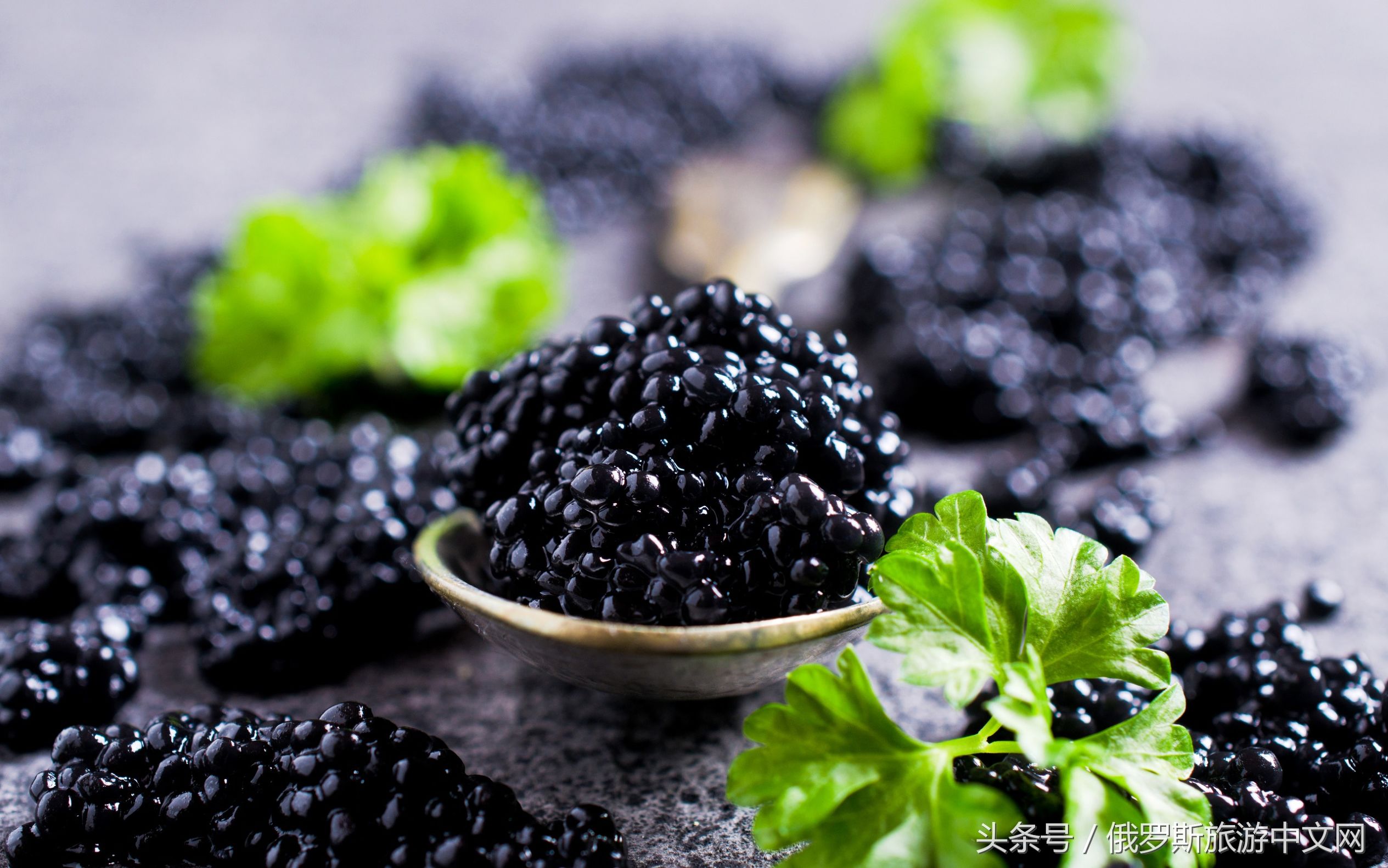 俄罗斯航空博物馆纪念品,去俄罗斯带什么纪念品