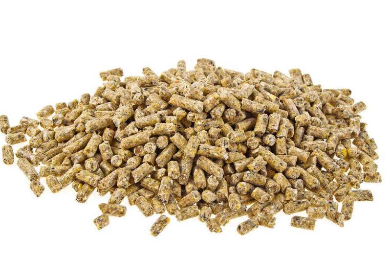 仔猪气喘用什么药最好,仔猪气喘病用什么药