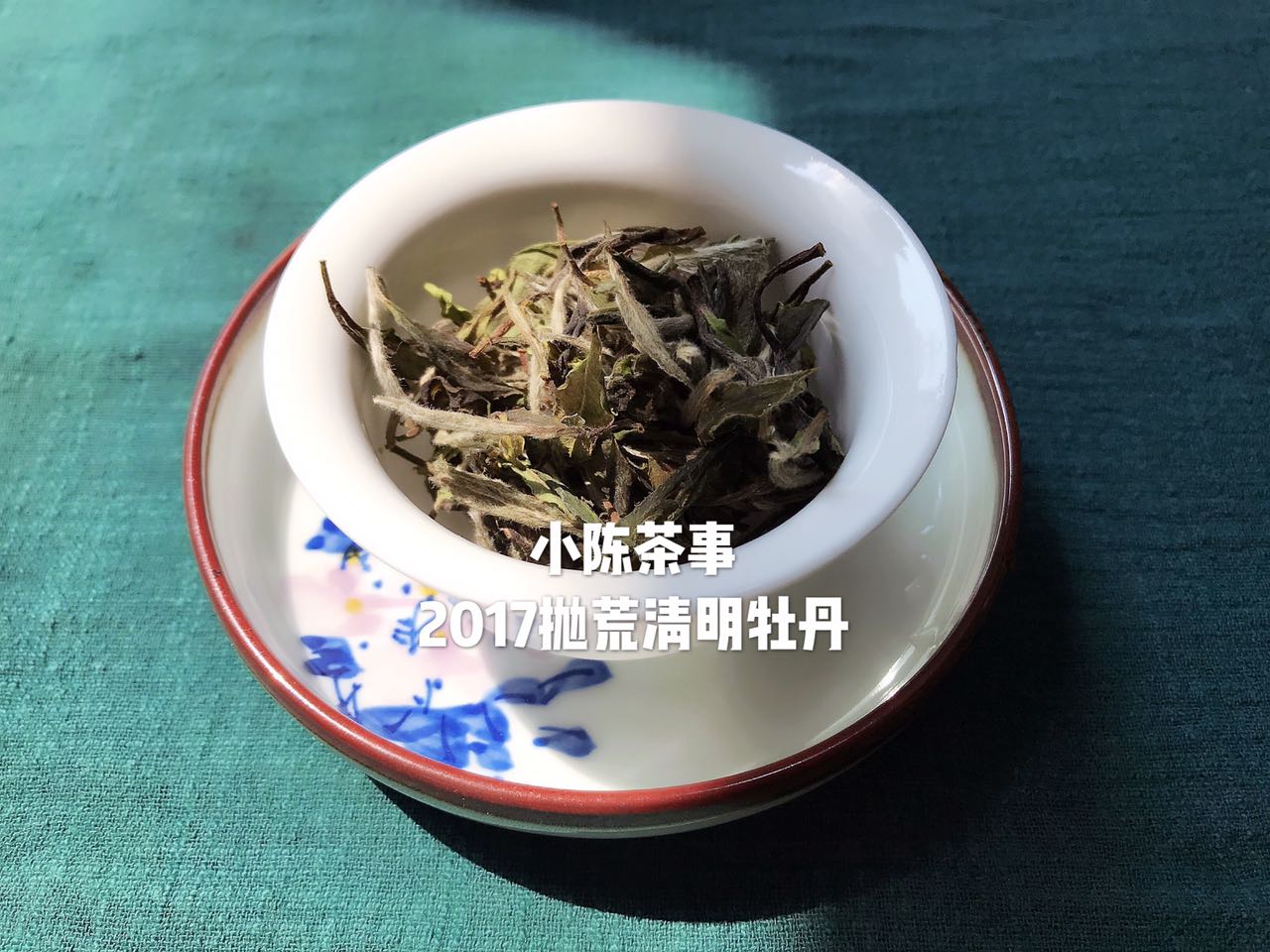 白茶知识100问,20秒了解白茶全集