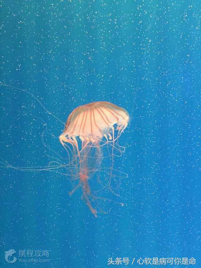 国内适合孩子去的主题乐园,国内好玩的主题乐园有哪些