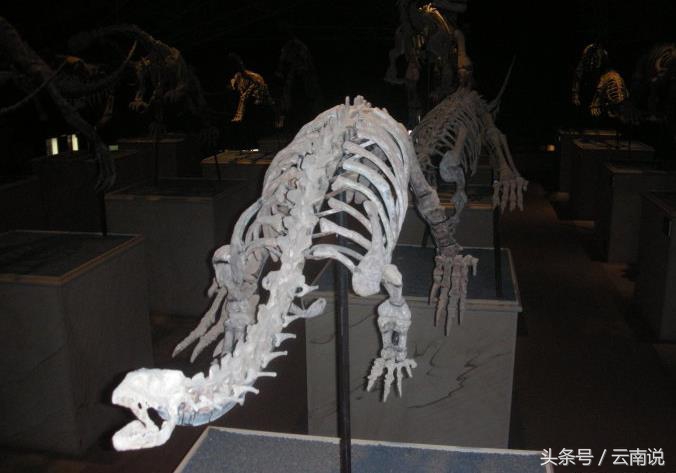 禄丰世界恐龙谷相约一亿年,世界恐龙谷和禄丰恐龙地质公园