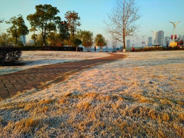 2019武汉电视问政回放,武汉电视问政每周面对面2021