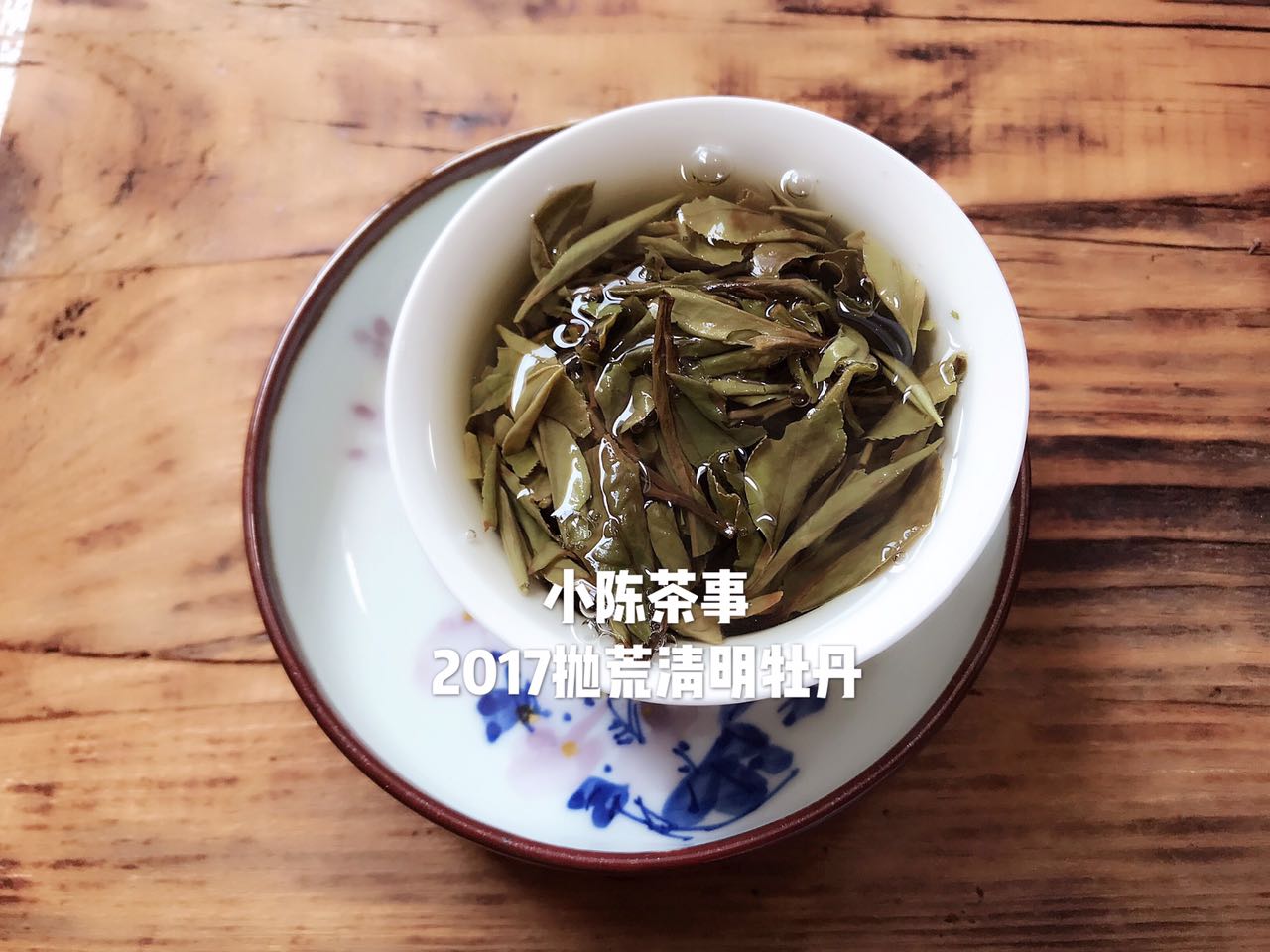 白茶知识100问,20秒了解白茶全集