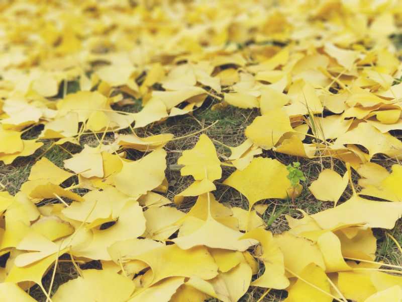 恁时相见早留心何况到如今,恁时相见早留心何况到如今作者