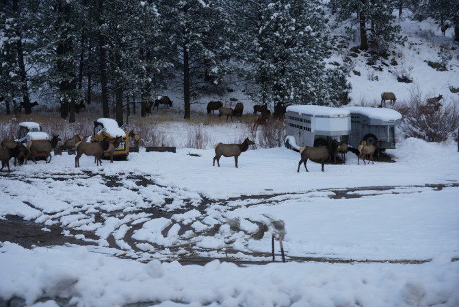 科罗拉多州到洛杉矶,科罗拉多州五月自驾