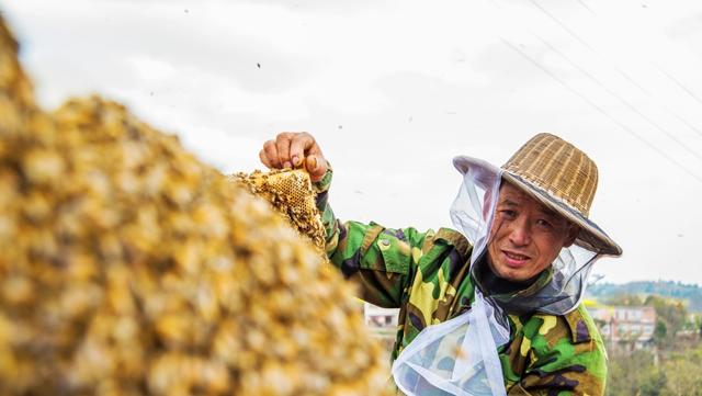 为什么超市蜂蜜那么便宜,超市买的蜂蜜为什么不结晶