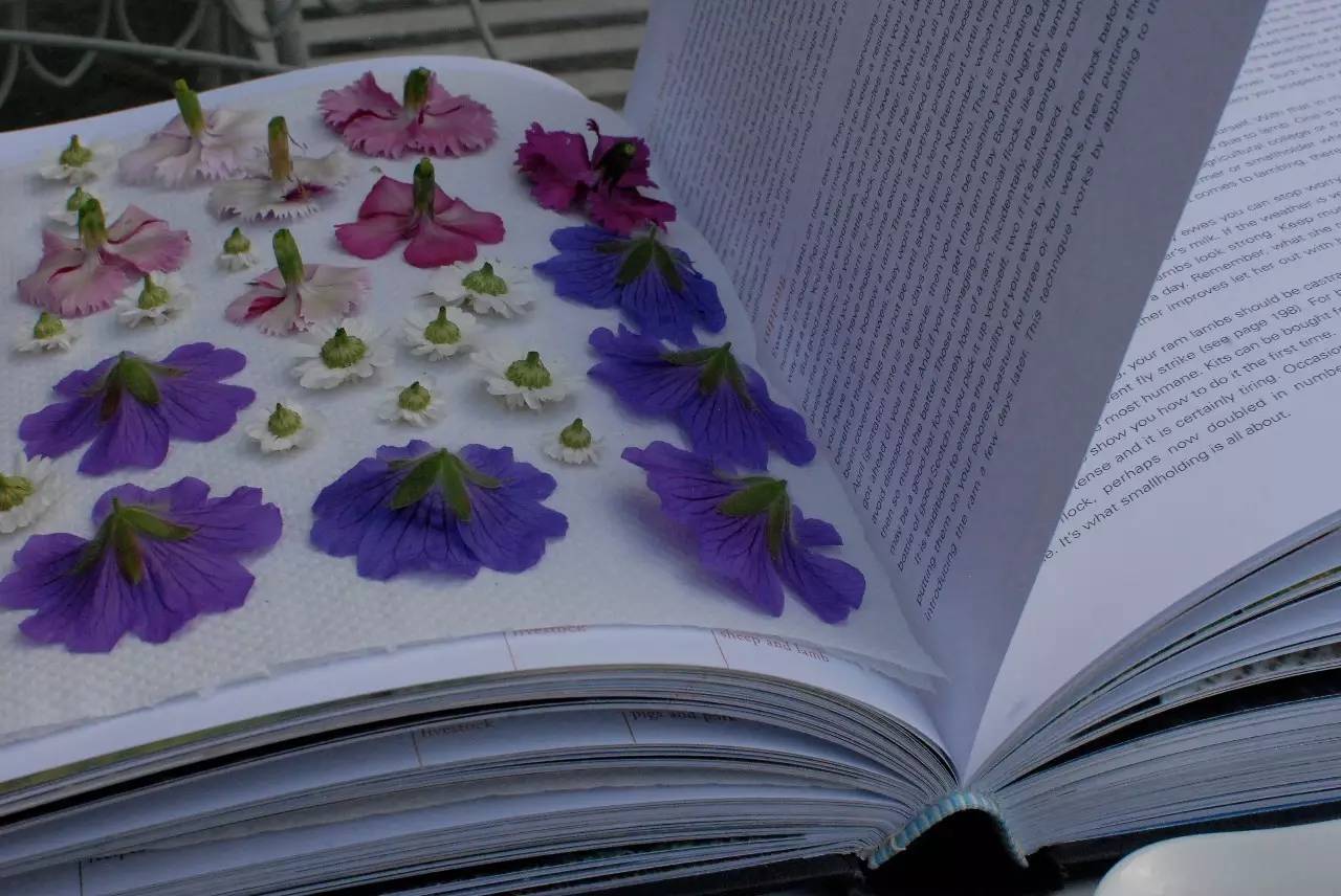 好看又特别的纹身贴,纹身贴ins高颜值爆款卡通图案