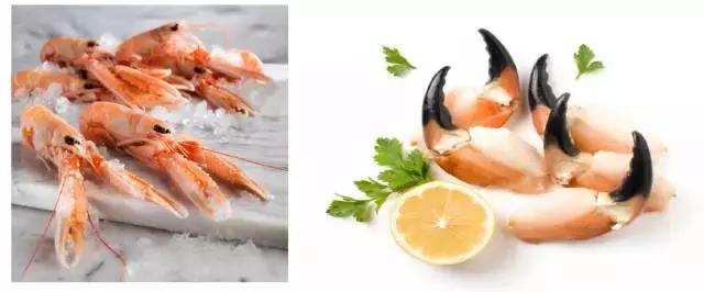 新西兰海鳌虾刺身,爱尔兰鳌虾刺身优惠