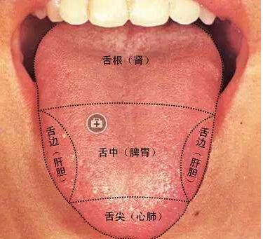 蒲辅周讲舌诊,蒲辅周怎么看舌诊