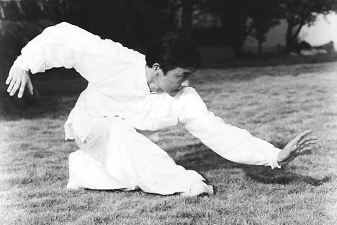 中国武术三大名拳教学,中国内家三大拳