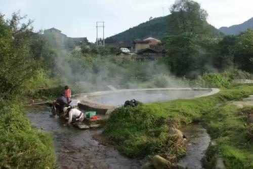 千年古银杏树腾冲界头,千年银杏树王的图片