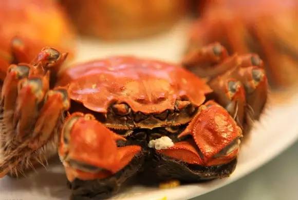 河南旅游美食攻略推荐,河南旅游美食小吃纪实