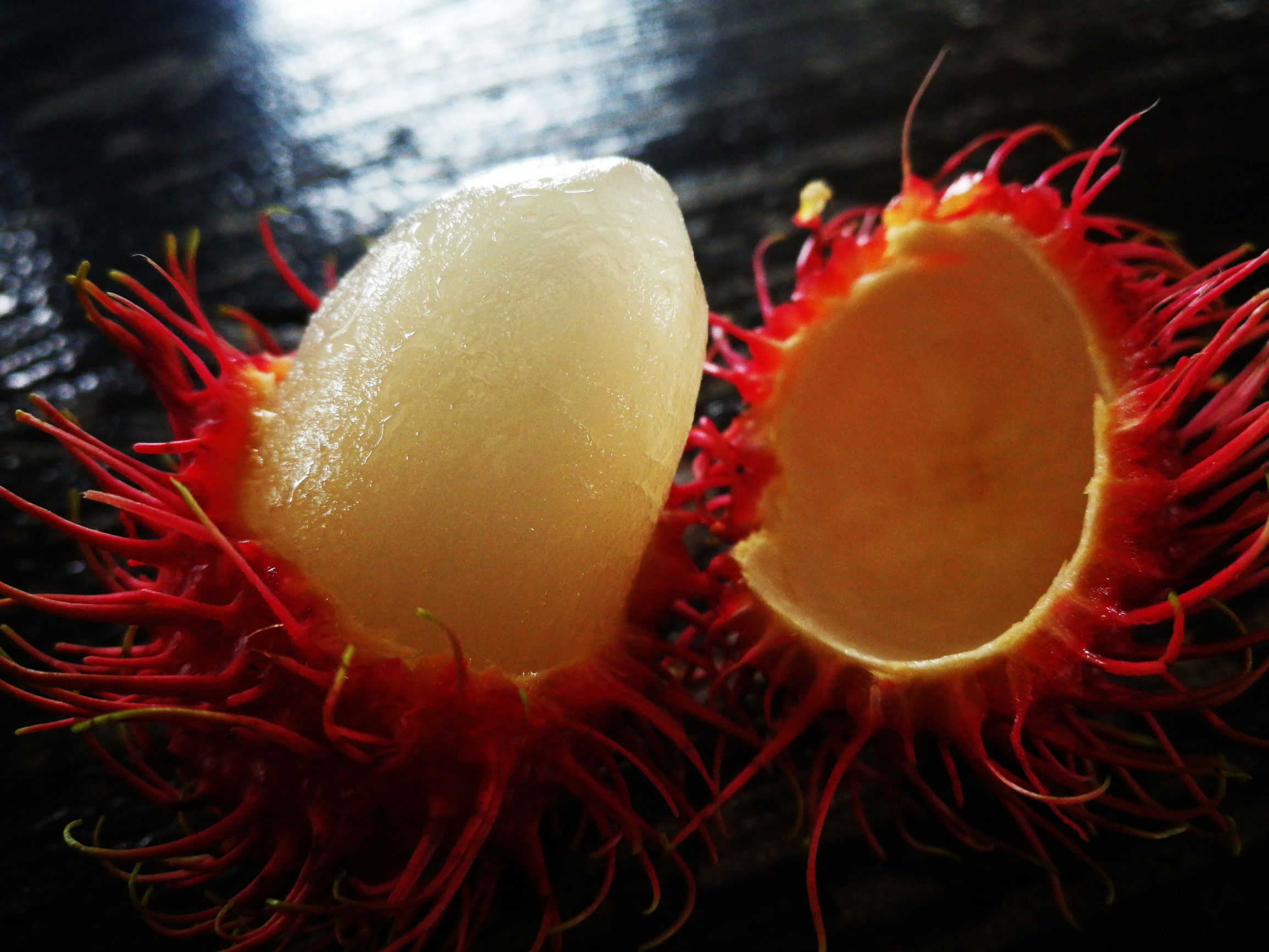 第一次沙巴克攻城,探索马来西亚沙巴美丽之旅