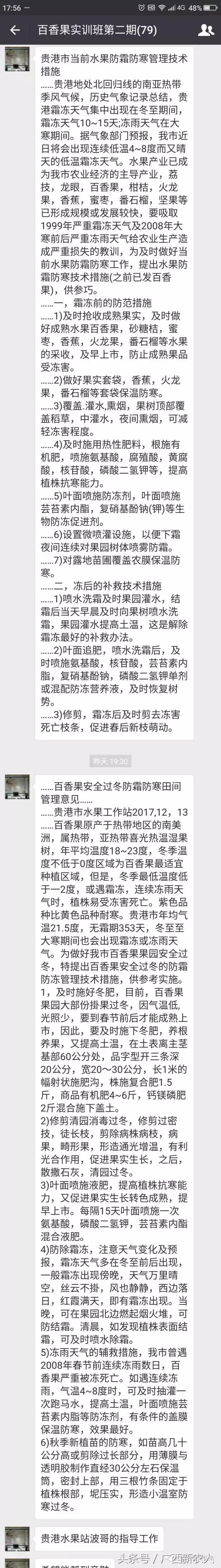 百香果怕霜冻吗,百香果如何对付霜冻天气