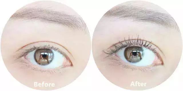 没想到大创这家“十元店”还有这么多超好用彩妆！