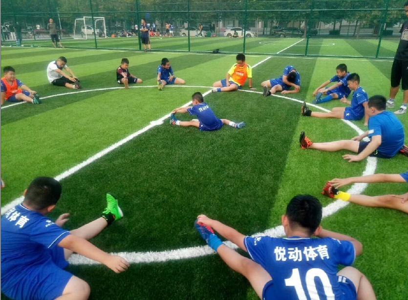 解读足球改革发展实施方案,聊城市机构改革方案最新