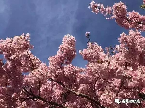 手机摄影运镜技巧教程大全,小米手机摄影技巧教学