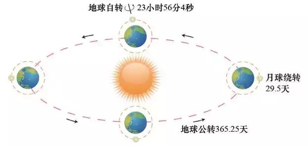 生物钟机理的重要生物学意义,科学家研究发现人体生物钟机理
