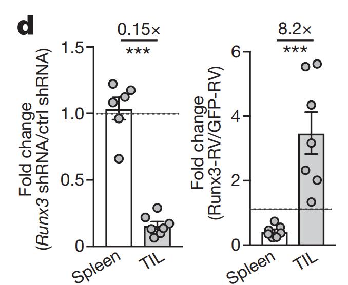 car-t治疗实体瘤进展,car-t治疗实体肿瘤成功案例