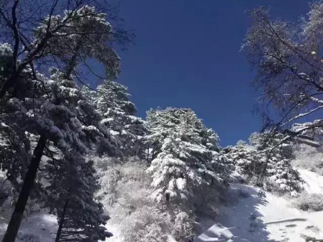 鍐父榛勫北濂借繕鏄崕灞卞ソ,鍐父鍗庡北鏀荤暐