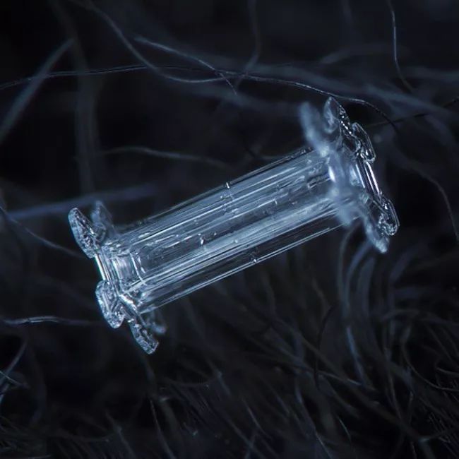 历时8年用微距镜头拍摄的雪花,超级微距拍摄雪花