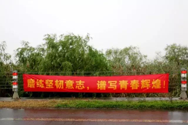 青春在这里绽放作文800字,青春在这里激昂